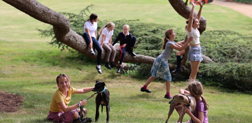 Pupils playing on tree outside at Hanford School, Dorset